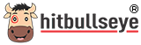 Hitbullseye: Transforming Education with Cutting Edge Technology
