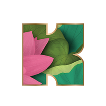 Kapiva - Buy Modern Ayurvedic Products Online for Complete Nutrition