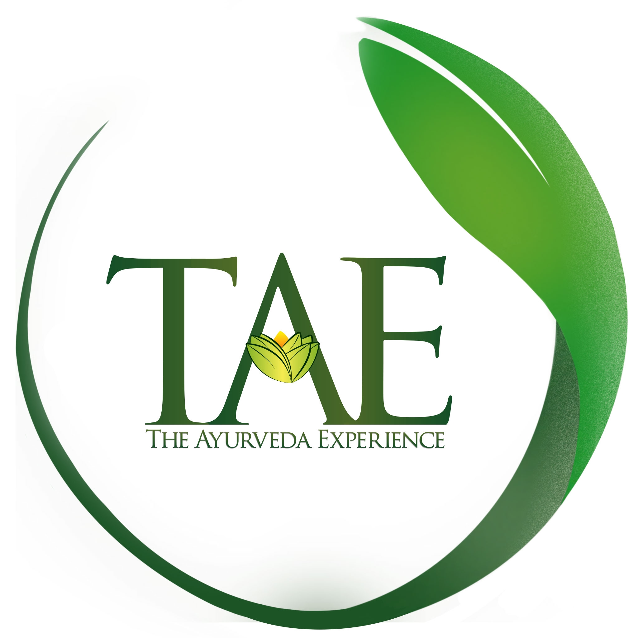 The Ayurveda Experience IN